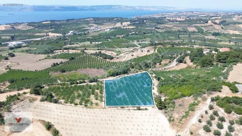 Çanakkale Yapıldak Köyünde Satılık Tarla — fotoğraf 3