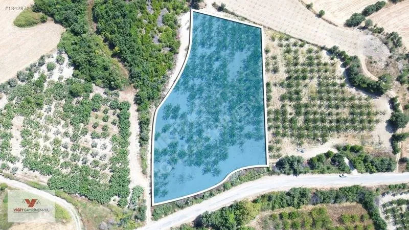Çanakkale Yapıldak Köyünde Satılık Tarla — fotoğraf 5